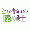 とある都市の探偵戦士（ダブル）