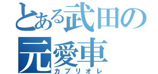 とある武田の元愛車（カブリオレ）