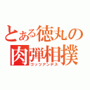 とある徳丸の肉弾相撲（ゴッツアンデス）