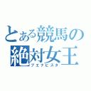 とある競馬の絶対女王（ブエナビスタ）