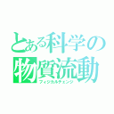 とある科学の物質流動（フィジカルチェンジ）