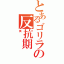 とあるゴリラの反抗期（笑）