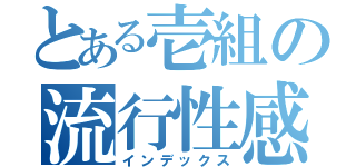 とある壱組の流行性感冒（インデックス）