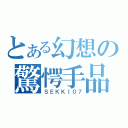 とある幻想の驚愕手品（ＳＥＫＫＩ０７）