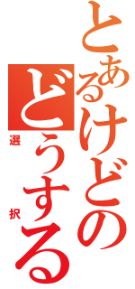 とあるけどのどうするよ？（選択）