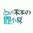 とある笨笨の呆小夏（很笨）