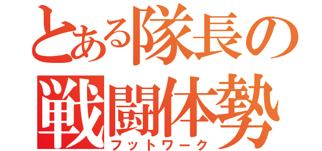 とある隊長の戦闘体勢（フットワーク）