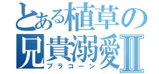 とある植草の兄貴溺愛Ⅱ（ブラコーン）