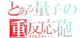 とある量子の重反応砲（マクロスキャノン）