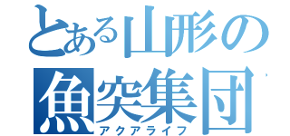 とある山形の魚突集団（アクアライフ）