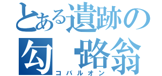 とある遺跡の勾帕路翁（コバルオン）