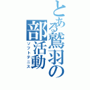 とある鷲羽の部活動（ソフトテニス）