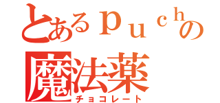 とあるｐｕｃｈａの魔法薬（チョコレート）