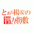 とある楊安の智力指數（根本是零）