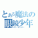 とある魔法の眼鏡少年（ハリーポッター）