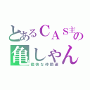 とあるＣＡＳ主の亀しゃん（愉快な仲間達）