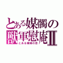 とある媒髑の獣軍慰庵Ⅱ（とある娼婦の恋）