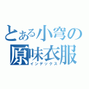 とある小穹の原味衣服（インデックス）