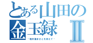 とある山田の金玉録Ⅱ（〜地中海まさとを添えて〜）