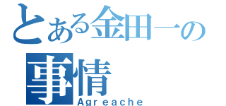 とある金田一の事情（Ａｇｒｅａｃｈｅ）