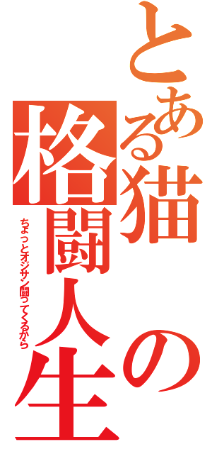 とある猫の格闘人生（ちょっとオジサン闘ってくるから）