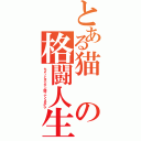 とある猫の格闘人生（ちょっとオジサン闘ってくるから）