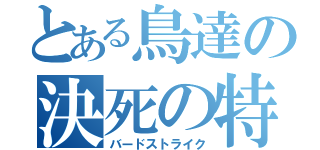 とある鳥達の決死の特攻（バードストライク）