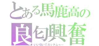 とある馬鹿高の良匂興奮（いい匂いでガッテムゥ～）