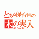 とある保育園の木の実入れ（どんぐり入（仮））