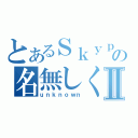 とあるＳｋｙｐｅの名無しくんⅡ（ｕｎｋｎｏｗｎ）