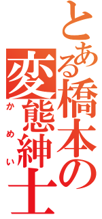 とある橋本の変態紳士（かめい）