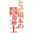 とある橋本の変態紳士（かめい）