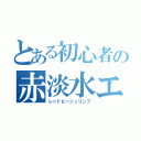 とある初心者の赤淡水エビ（レッドビーシュリンプ）