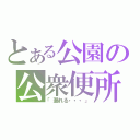 とある公園の公衆便所（「漏れる・・・」）