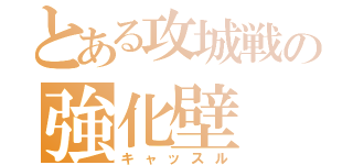 とある攻城戦の強化壁（キャッスル）