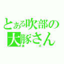 とある吹部の大豚さん（雄太）