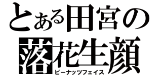 とある田宮の落花生顔（ピーナッツフェイス）