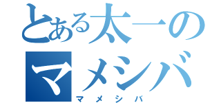 とある太一のマメシバ（マメシバ）