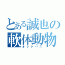 とある誠也の軟体動物（オクトパス）