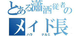 とある瀟洒従者のメイド長（ハラ   ナルミ）