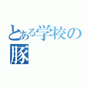 とある学校の豚（）