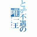 とある不遇の唯一王（ブースター）