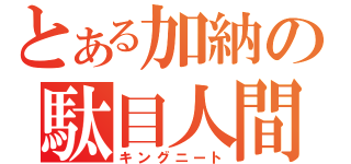 とある加納の駄目人間（キングニート）