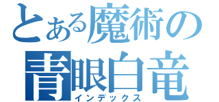 とある魔術の青眼白竜（インデックス）