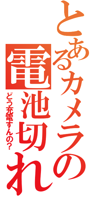 とあるカメラの電池切れ（どう充電すんの？）