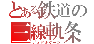 とある鉄道の三線軌条（デュアルゲージ）