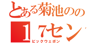 とある菊池のの１７センチ（ビックウェポン）