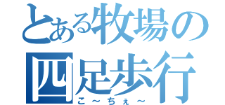 とある牧場の四足歩行（こ～ちぇ～）