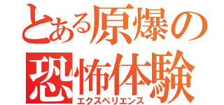 とある原爆の恐怖体験（エクスペリエンス）