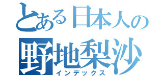 とある日本人の野地梨沙（インデックス）